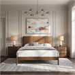 Meridian Furniture Arielle Cognac Vegan Leather Upholstered Queen Bed