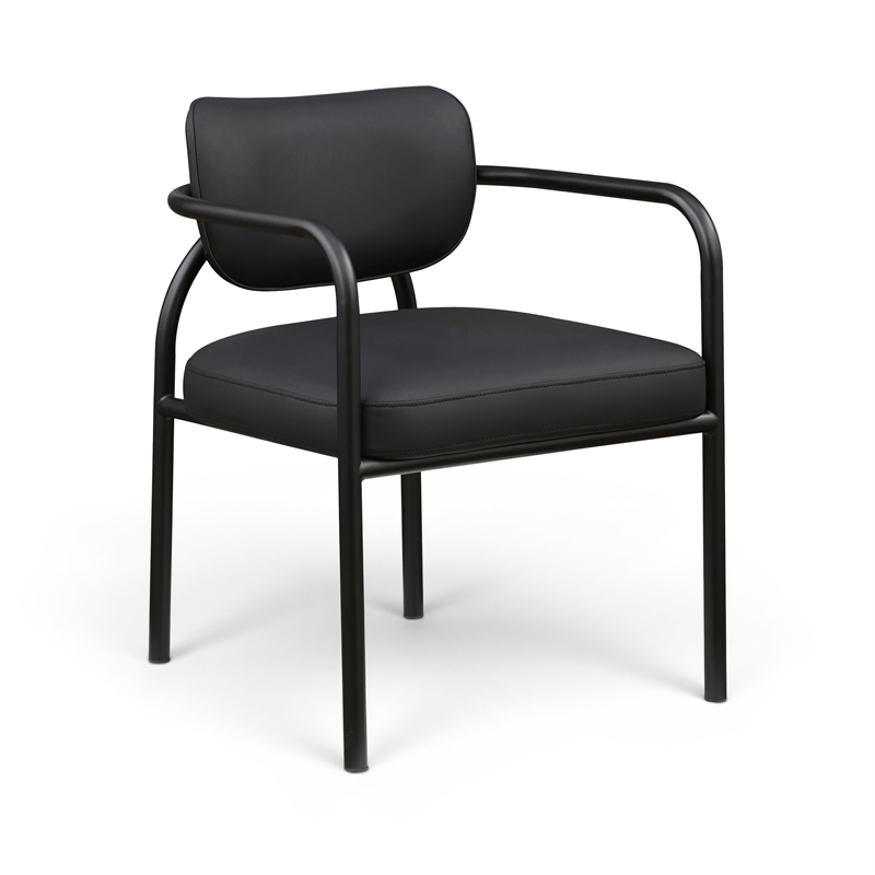Meridian Furniture Serava Black Vegan Leather Dining Chair (Set of 2)