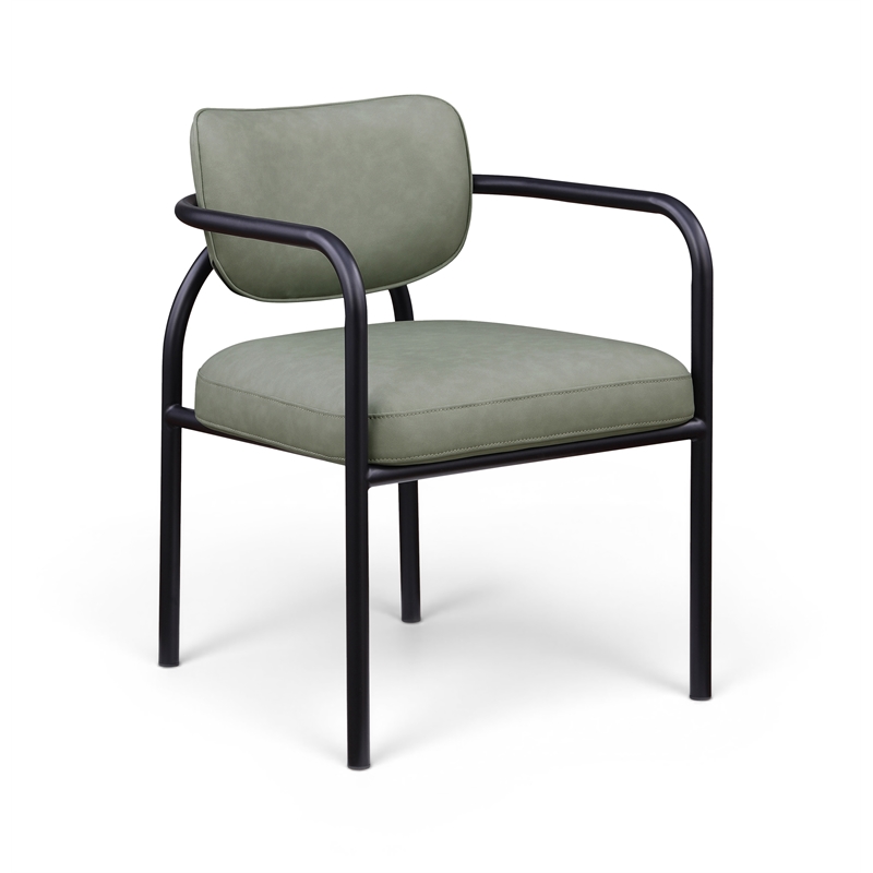 Meridian Furniture Serava Green Vegan Leather Dining Chair (Set of 2)