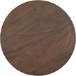 Meridian Furniture Canyon Brown Mango Wood End Table