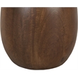 Meridian Furniture Canyon Brown Mango Wood End Table