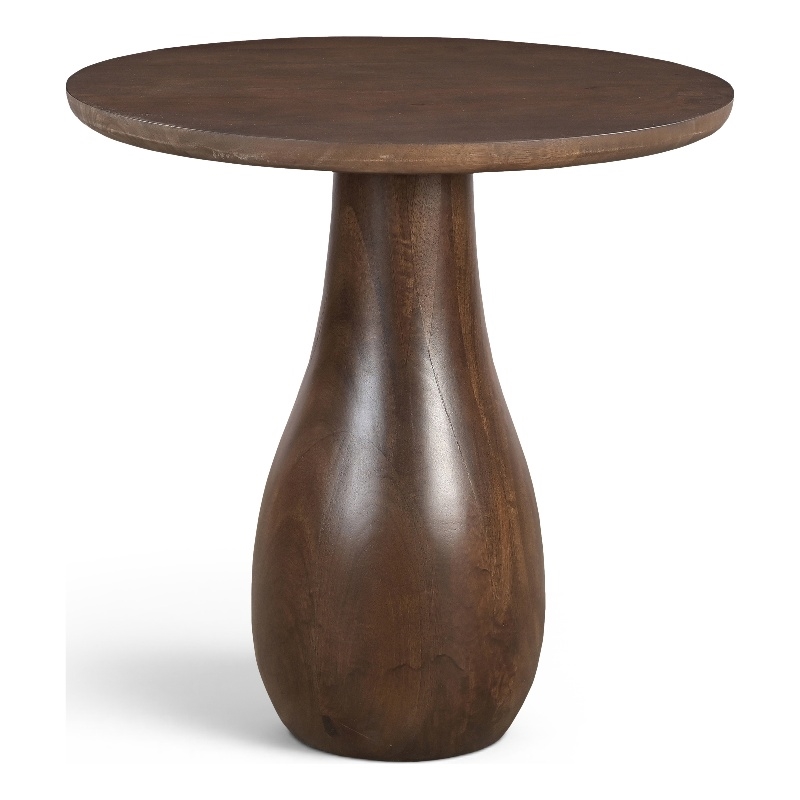 Meridian Furniture Canyon Brown Mango Wood End Table