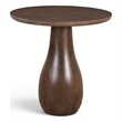 Meridian Furniture Canyon Brown Mango Wood End Table