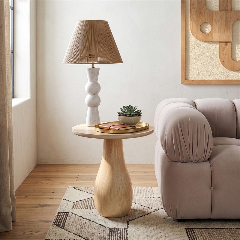 Meridian Furniture Canyon Brown Mango Wood End Table