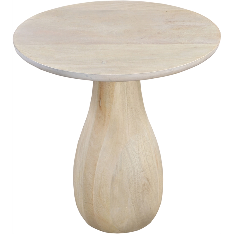 Meridian Furniture Canyon Brown Mango Wood End Table