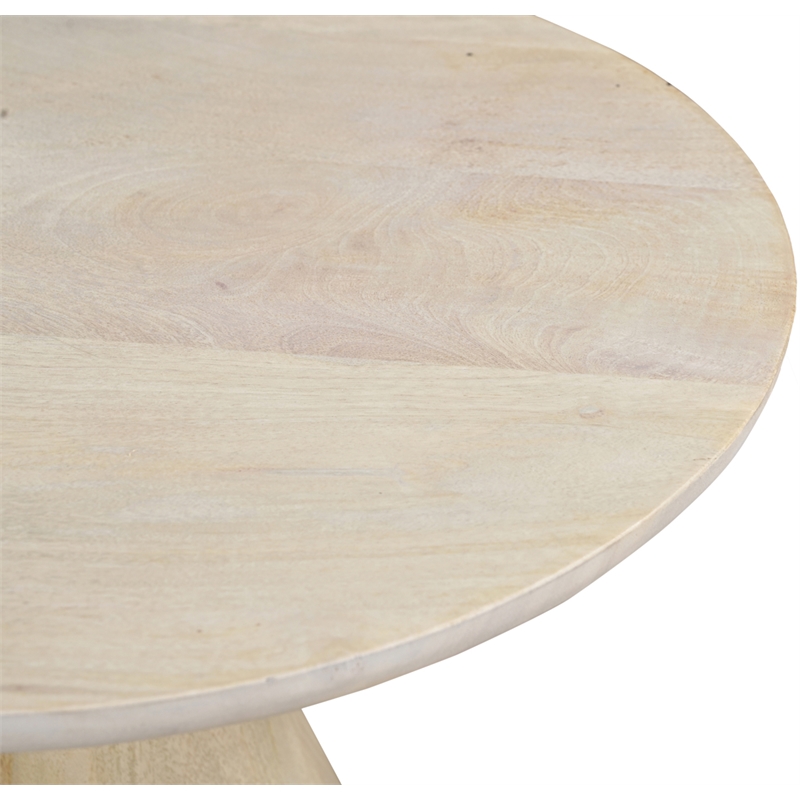 Meridian Furniture Canyon Brown Mango Wood End Table