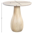 Meridian Furniture Canyon Brown Mango Wood End Table