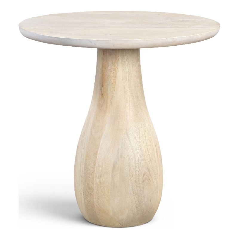 Meridian Furniture Canyon Brown Mango Wood End Table