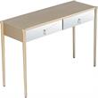 Camden Isle Insley Mirrored Console Table