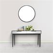 Camden Isle Renata Mirrored Glass Console Table