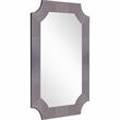 Camden Isle Templar Glass Wall Mirror with Antiqued Glass Frame