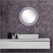 Camden Isle Rachel Glass Wall Mirror with Antiqued Glass Frame