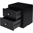 Camden Isle Wooden 2 Drawer Nightstand in Black