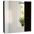 Tuhome Furniture Labelle Medicine Cabinet With Mirror Engineered Wood in Black