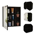 Tuhome Furniture Labelle Medicine Cabinet With Mirror Engineered Wood in Black