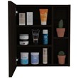 Tuhome Furniture Labelle Medicine Cabinet With Mirror Engineered Wood in Black