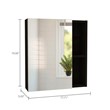 Tuhome Furniture Labelle Medicine Cabinet With Mirror Engineered Wood in Black