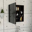 Tuhome Furniture Labelle Medicine Cabinet With Mirror Engineered Wood in Black