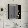 Tuhome Furniture Labelle Medicine Cabinet With Mirror Engineered Wood in Black