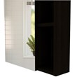 Tuhome Furniture Labelle Medicine Cabinet With Mirror Engineered Wood in Black