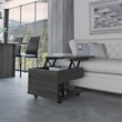 Tuhome Furniture Luanda Lift Top Coffee Table Engineered Wood Coffee Tables in Brown