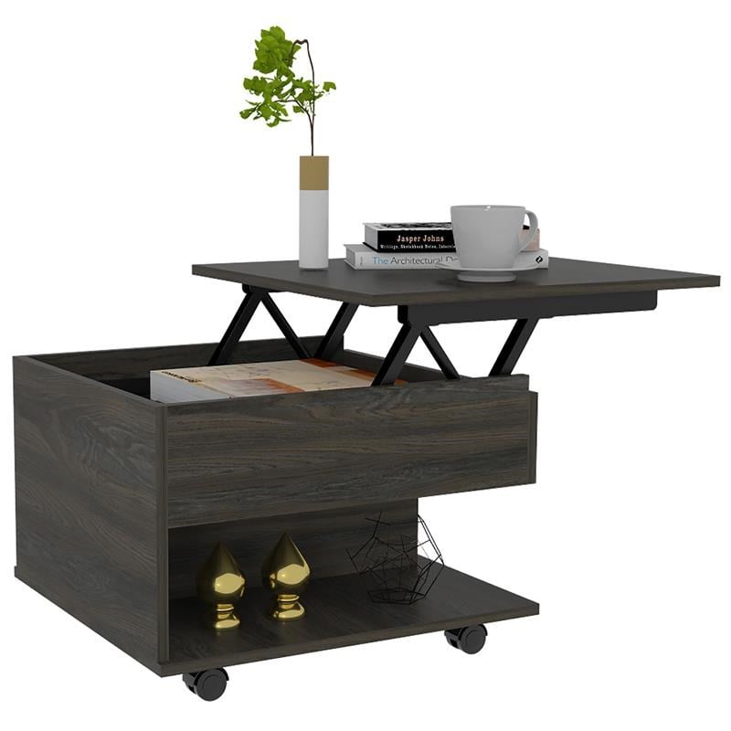TUHOME Luanda Lift Top Coffee Table Engineered Wood Coffee Tables in  Brown
