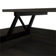 Tuhome Furniture Luanda Lift Top Coffee Table Engineered Wood Coffee Tables in Brown