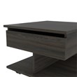 Tuhome Furniture Luanda Lift Top Coffee Table Engineered Wood Coffee Tables in Brown