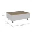 TUHOME Gambia Lift Top Coffee Table Engineered Wood Coffee Tables in White