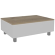 TUHOME Gambia Lift Top Coffee Table Engineered Wood Coffee Tables in White