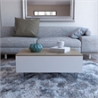 TUHOME Gambia Lift Top Coffee Table Engineered Wood Coffee Tables in White