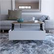 TUHOME Gambia Lift Top Coffee Table Engineered Wood Coffee Tables in White