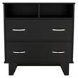TUHOME Portanova Two Drawer Dresser - Black  Engineered Wood