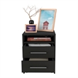 Tuhome Furniture Holland Engineered Wood 3 Piece Bedroom Set in Black/White
