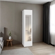 Home Linen Tall Cabinet with Single Door and One Mirror Engineered Wood White