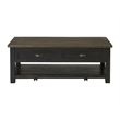 Martin Svensson Home Monterey Solid Wood 2 Drawer Coffee Table Black and Brown