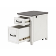 Martin Svensson Home Del Mar White and Grey File Cabinet with Fingerprint Lock