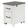 Martin Svensson Home Del Mar White and Grey File Cabinet with Fingerprint Lock
