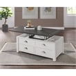 Martin Svensson Home Monterey Solid Wood Lift Top Coffee Table White and Gray