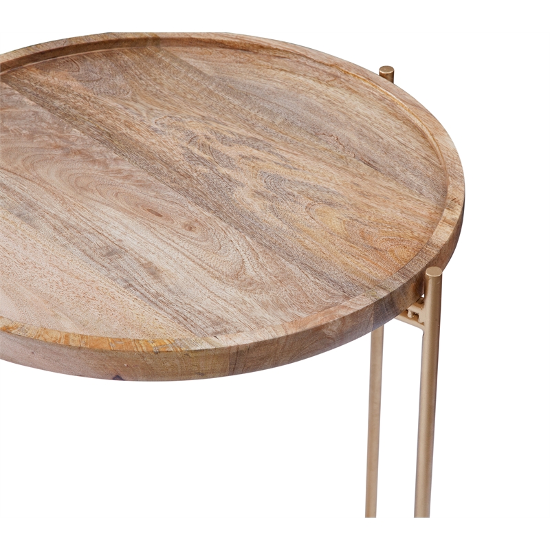 Martin Svensson Home Hemingway Round Tray Top Wood End Table in Natural