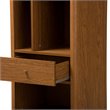 Allora Walnut Bookcase Unassembled