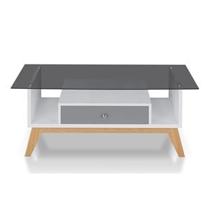 Allora Mid-Century Glass Coffee Table in Gray