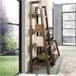Allora 4 Shelf Solid Wood Ladder Bookcase in Saddle Brown