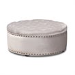 Allora Tufted Velvet Coffee Table Ottoman in Light Gray