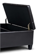 Allora Storage Coffee Table Ottoman in Tanners Brown