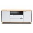 Allora Contemporary Multicolor 2-Door Wood Dining Room Sideboard