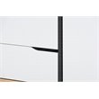 Allora Contemporary Multicolor 2-Door Wood Dining Room Sideboard