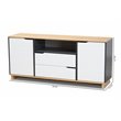 Allora Contemporary Multicolor 2-Door Wood Dining Room Sideboard