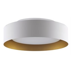 Ceiling Lighting