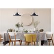 Bromi Design Berkley Single Light Aluminum Pendant in Black